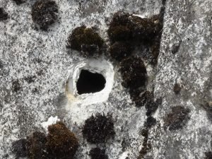 hole in asbestos roof