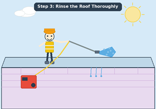 Rinse the roof thoroughly.